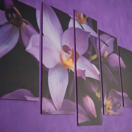 B&B Cefalu Bed & Breakfast *